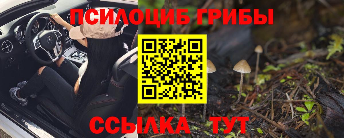 Губкин  Галлюциногенные грибы Magic Shrooms  Вход с VPN 